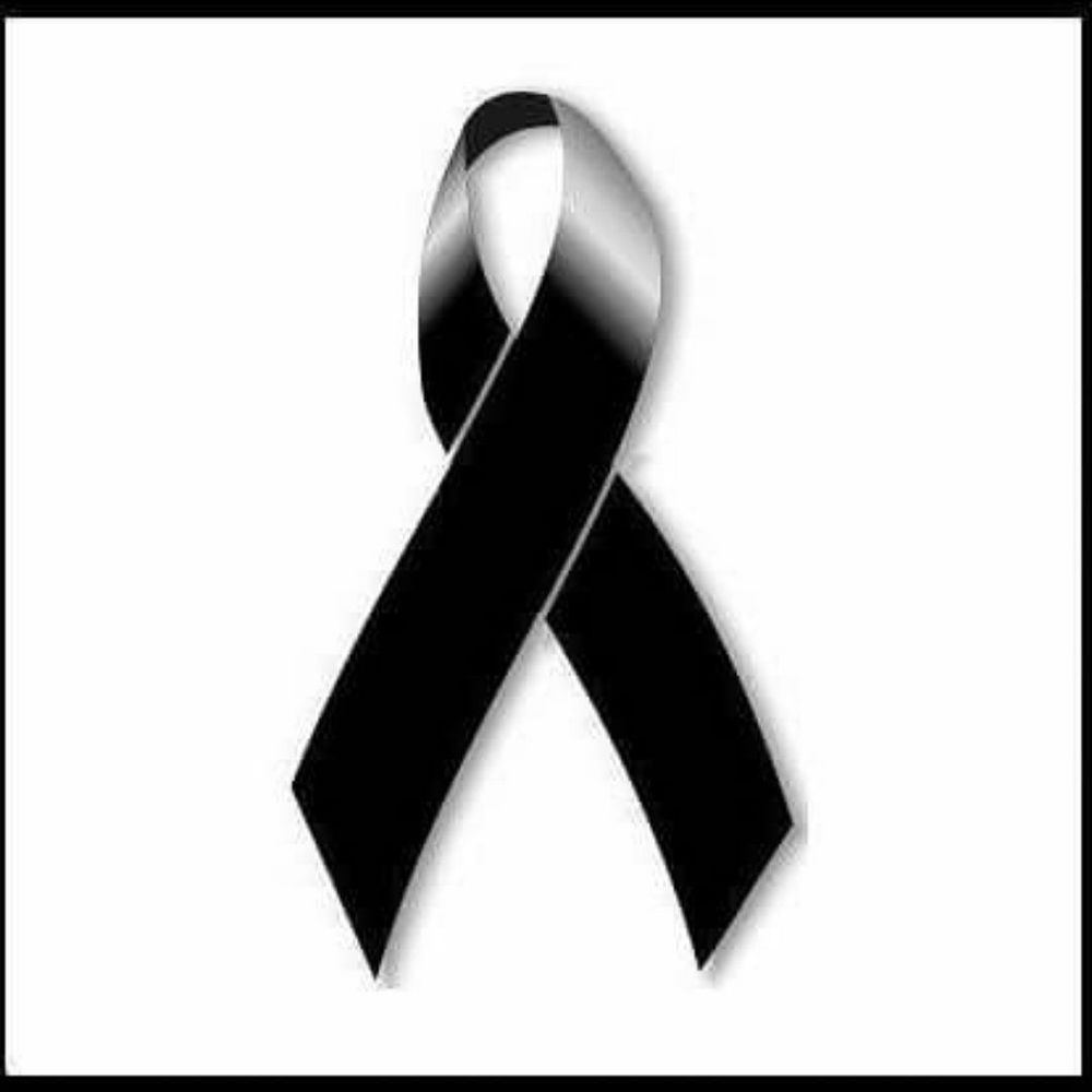 Meet your Posher, Sirius